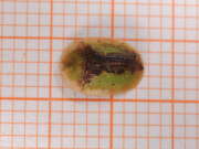 Thumbnail 395415 B