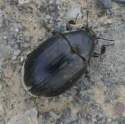 Thumbnail 395422 B