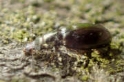 Thumbnail 395712 B