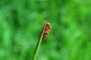 Thumbnail 397018 B