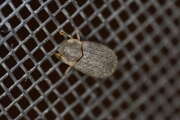 Thumbnail 397088 B