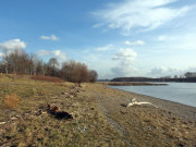 Thumbnail 58548 B