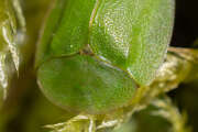 Thumbnail 400398 B
