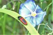 Thumbnail 400679 A