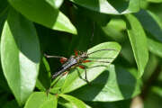 Thumbnail 400957 B