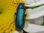Thumbnail 401103 B