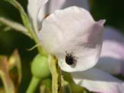 Thumbnail 401502 B