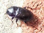 Thumbnail 401772 B