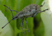 Thumbnail 401841 B