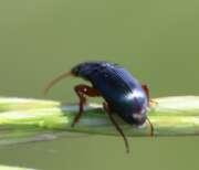 Thumbnail 402535 B
