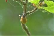 Thumbnail 402576 B