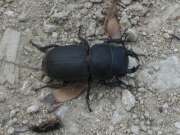 Thumbnail 402602 B