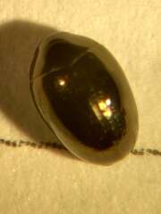 Thumbnail 402606 B