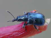 Thumbnail 402746 B