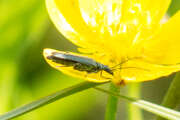 Thumbnail 402755 B