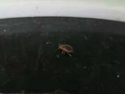 Thumbnail 402904 B