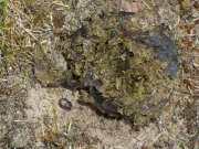 Thumbnail 403028 B