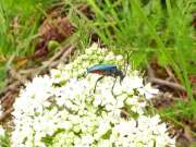 Thumbnail 403112 B
