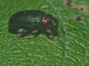 Thumbnail 403167 B