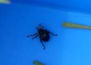 Thumbnail 403308 B