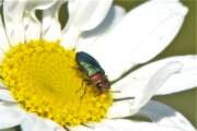 Thumbnail 404512 A