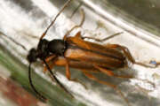 Thumbnail 405370 B