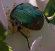 Thumbnail 405513 B