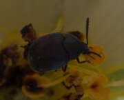 Thumbnail 405547 B