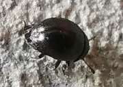 Thumbnail 405549 B