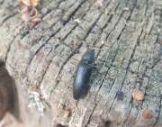 Thumbnail 405749 B