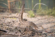 Thumbnail 405952 A