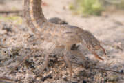 Thumbnail 405952 B