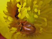 Thumbnail 406181 B