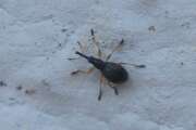 Thumbnail 406339 B