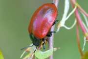 Thumbnail 406347 B