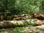Thumbnail 406378 B