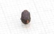 Thumbnail 406400 B