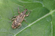Thumbnail 406403 B