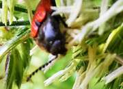 Thumbnail 407346 B