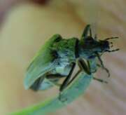 Thumbnail 407404 B