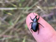 Thumbnail 407510 B