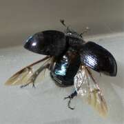 Thumbnail 407532 B