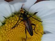 Thumbnail 408277 B