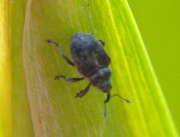 Thumbnail 409540 B