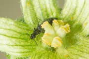 Thumbnail 410122 B