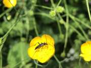 Thumbnail 410164 B