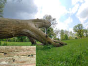 Thumbnail 410181 C