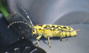 Thumbnail 410226 B