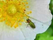 Thumbnail 410342 B