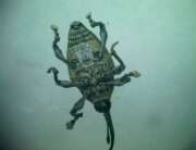 Thumbnail 410469 B